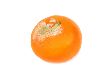 rotten mandarin isolated on a white background.