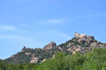 Fototapeta na wymiar colline Corse