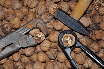 whole walnuts with a nutcracker hammer and a gas wrench for kernel extraction