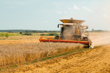 Rotary straw walker cut and threshes ripe wheat grain. Combine harvesters with grain header, wide chaff spreader reaping cereal ears. Gathering crop by agricultural machinery on field on summer season