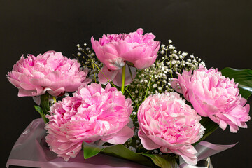Bouquet of pink peonies on a black background.