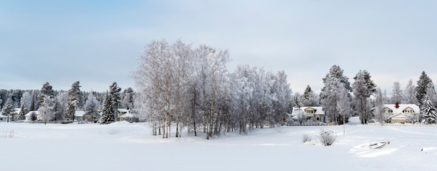 Modern homes in a cold winter landscape with snow and frost