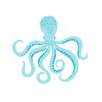 Sea life, octopus hand drawn vector illustration. Ocean wildlife, squid cartoon character. Underwater creature, animal with tentacles isolated on white background. Doodle style t shirt print design