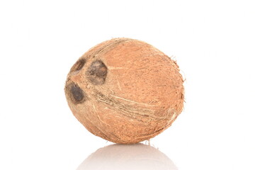 One ripe organic coconut, close-up, isolated on white.