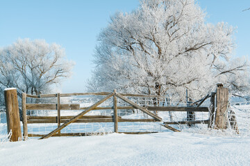 A snow-covered wooden gate in a sunny winter landscape