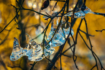 icicles colored by sunlight