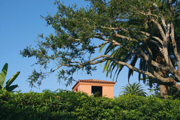 Southern California Montecito scene with a part of a building under blue sky framed by trees and plants in the foreground on a sunny autumn morning