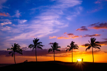 Tropical Hawaiian sunset with palm tree silhouettes