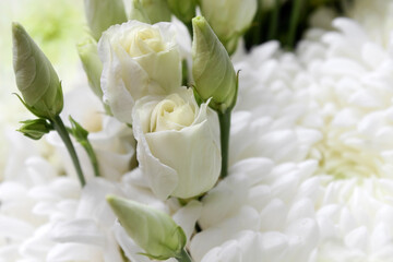 Obraz na płótnie Canvas bouquet of white roses and chrysanthemums