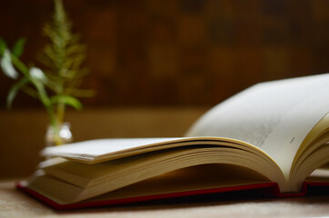 Soothing image of open book on desk. Low saturation, in natural lighting. Book laying open on...