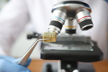 Fototapeta na wymiar Scientist holding sample of moldy tissue near microscope with tweezers closeup