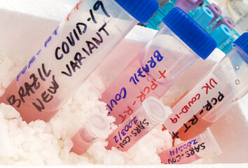 Several frozen vials testing positive for covid-19 infection of the new variant in the UK and Brazil, conceptual image.
