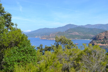Obraz na płótnie Canvas paysage idyllique en Corse