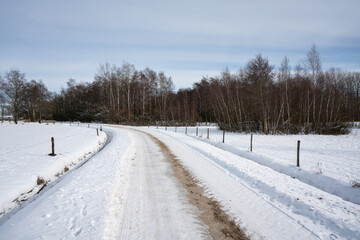 Eerbeekse Hooilanden covered in snow in The Netherlands near Eerbeek