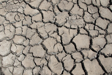 dry cracked earth