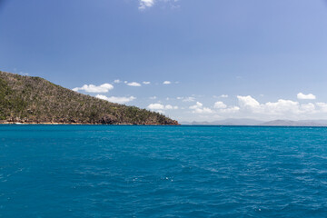 Naklejka premium Crystal clear water at the Hook Island in Queensland, Australia