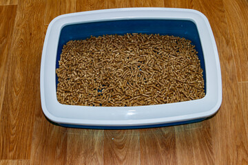 Cat's litter box with filler on a floor