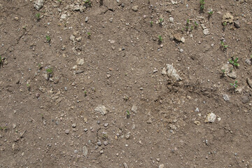 soil