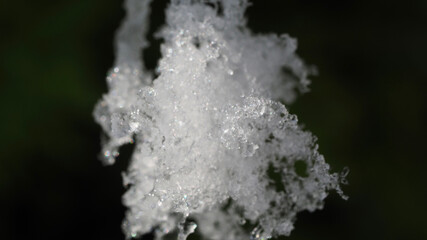 Macro close up photo of frozen snow flake as seen at winter