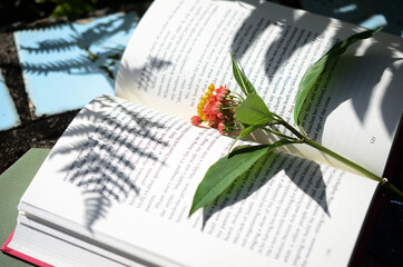 Soothing image of open book on desk. Low saturation, in natural lighting. Book laying open on...