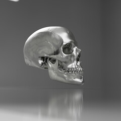 human skull head of a man, anatomical model in photo studio