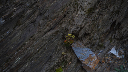 Beautiful Georgian mountains , Summer time