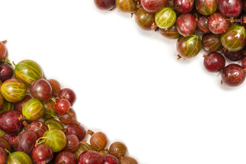 Gooseberry isolated on white background.