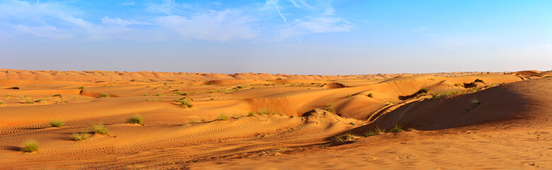 Fototapeta na wymiar Die Dünen von Wahiba Sands und ein blauer Himmel. Eine Wüstenlandschaft im Oman, Panorama.