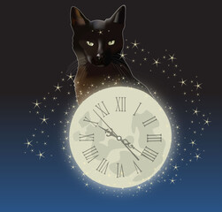 Moon Cat. Black cat sits on the moonlit path 