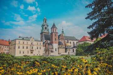 Royal Archcathedral Basilica of Saint Stanislaus and Wenceslaus on the Wawel Hill also known the Wawel Cathedral in Krakow Royal Castle on sunny autumn day. Beautiful yellow flowers in the foreground