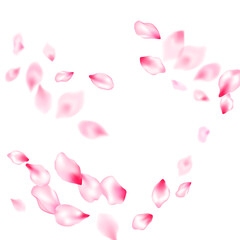 Pink sakura petals confetti flying and falling