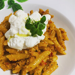 Italian dish, penne pasta with sauce and burrata cheese on top, carbohydrates, warm pasta dish