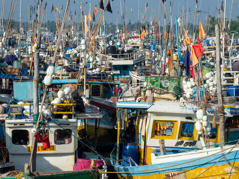 The fishing fleet at harbor near the Negombo fish market, Negombo, Sri Lanka