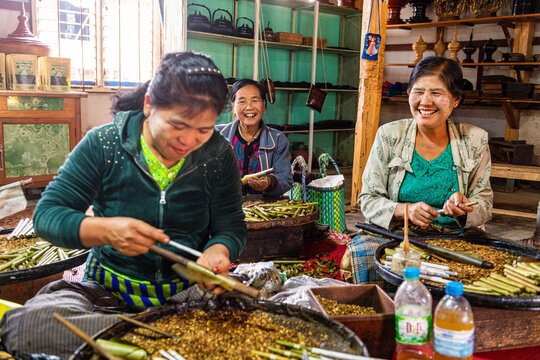 Cigar and cigarette (cheroots) hand made rolling, Inle Lake, Shan state