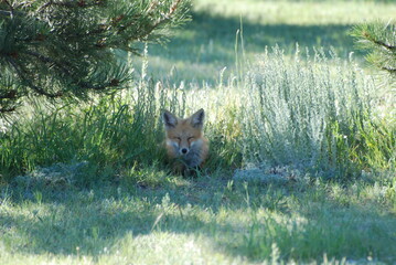 I can't see you, you can't see me.