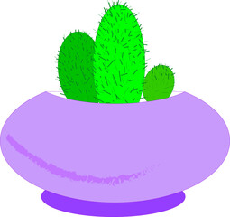 Homemade thorny cactus grows in a flower pot