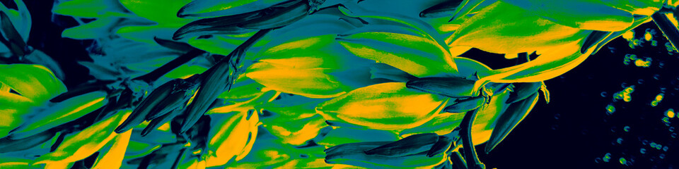 Fototapeta na wymiar Green Environment Wallpaper. Yellow Tropical