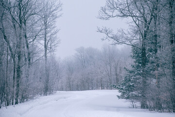 Obraz na płótnie Canvas road in winter