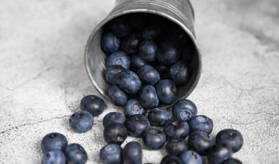 Close up of Fresh blueberries falling out of a small metal bucket. Side view. Rustic.