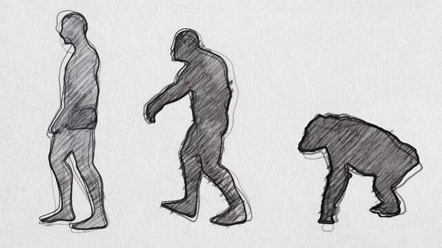 Human Evolution Timeline Pencil Sketch Seamless Loop