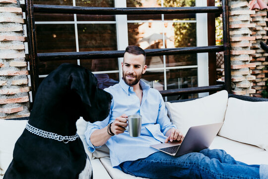 Young man working on laptop while sitting on terrace with Great Dane dog