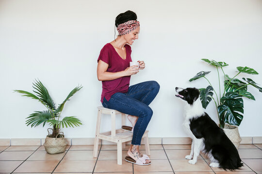 Woman smiling at Border Collie while sitting on stool with coffee cup against wall