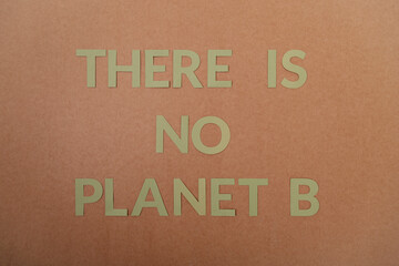 Fototapeta na wymiar There is no planet b cardboard letters