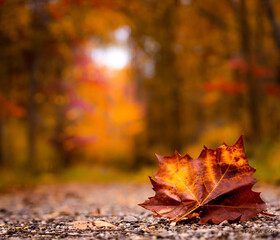 Leave it to mother nature to be beautiful