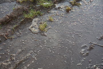 Muddy earth with grass