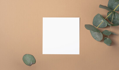 Real photo. square invitation card mockup with a eucalyptus branch. Top view with copy space,...