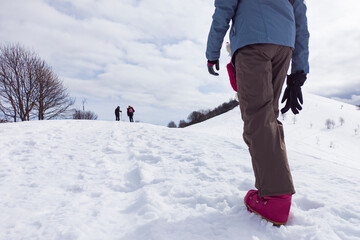 Trekking scene in the italian alps