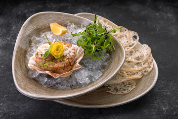 Salmon tartare with avocado, bread chips and lemon, on a plate, on a dark background, on an icy crash