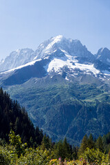 The alps and the nature of mont blanc seen during a beautiful summer day near the village of Chamonix, France - August 2020.