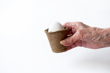 Ecological concept with Easter white eggs in peat pots on a white background.